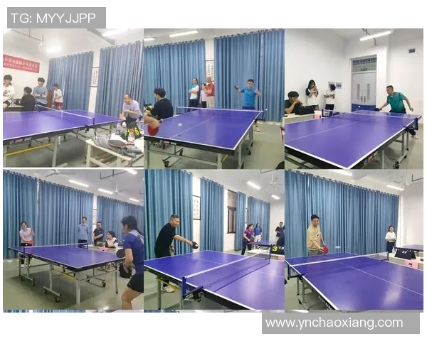 乒乓球新手必看团队协作技巧与入门指南分享