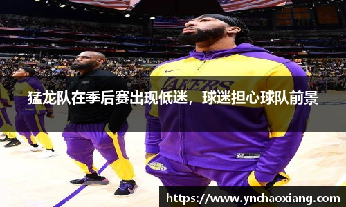 猛龙队在季后赛出现低迷，球迷担心球队前景