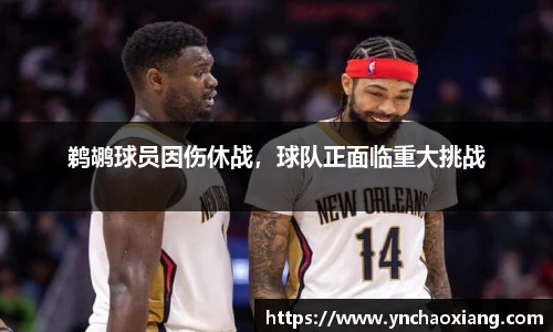 鹈鹕球员因伤休战，球队正面临重大挑战