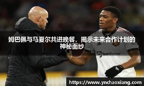 bsports必一体育