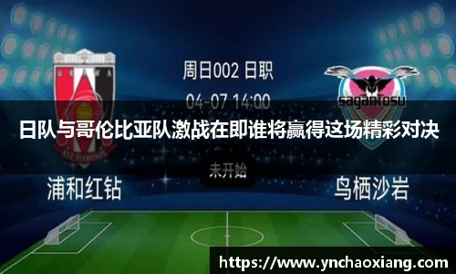 bsports必一体育