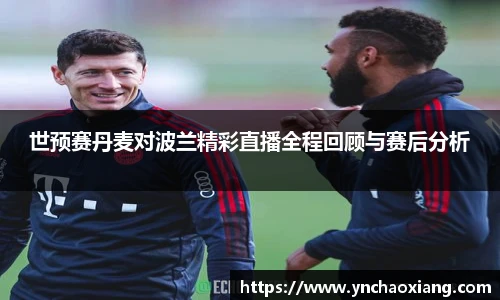 世预赛丹麦对波兰精彩直播全程回顾与赛后分析